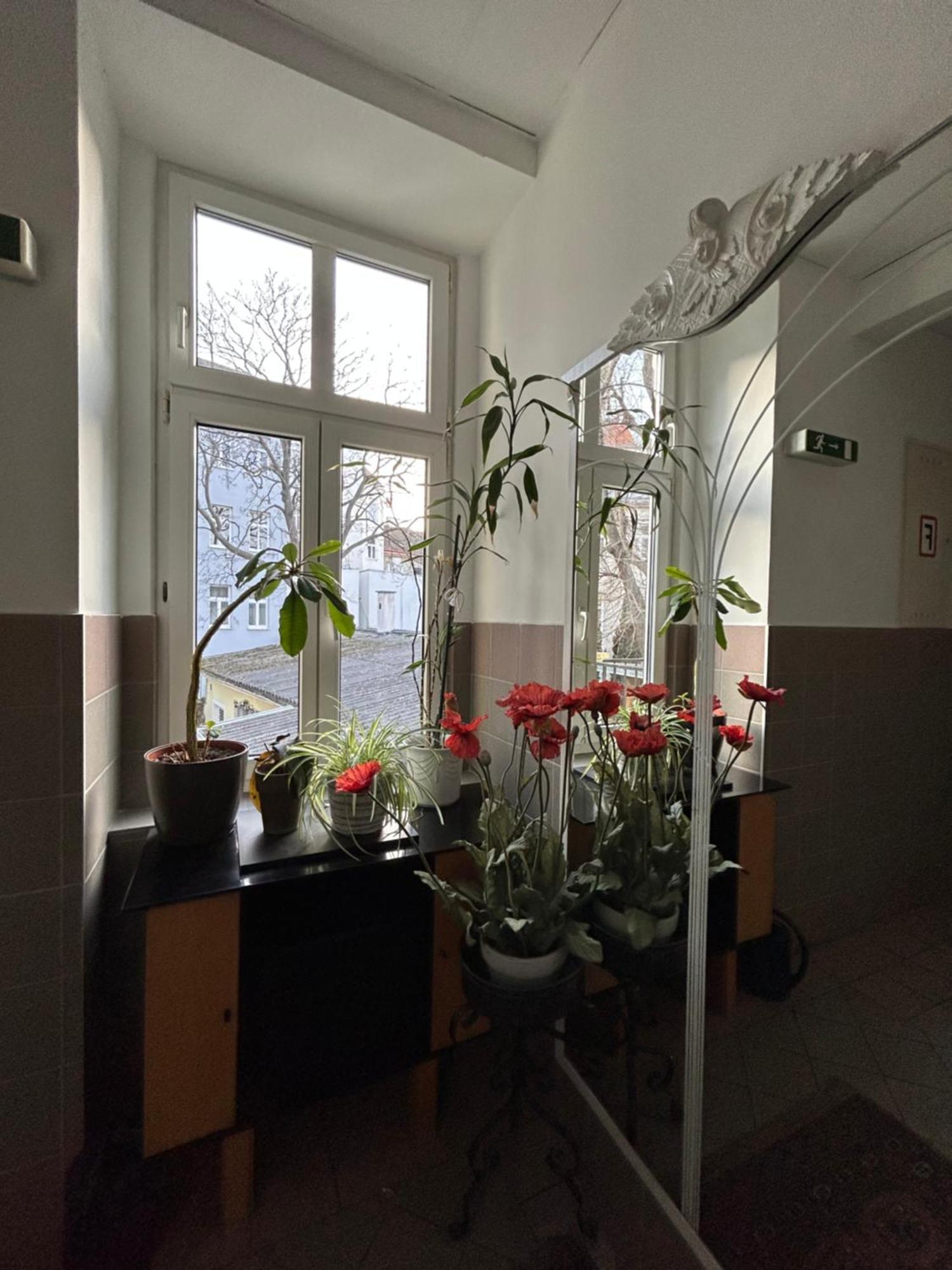 Reiner Apartment Vienna Exterior photo
